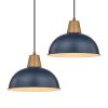 10.2 Inch Pendant Lighting for Kitchen Island, Ceiling Lighting  |   Kitchen Lighting Kitchen Lighting Kitchen Lighting