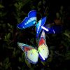 12Pcs LED Light Up Butterfly Night Light Decor  |   Night Lights Night Lights Night Lights