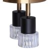 2 Light Track Lighting, Black Finish  |   Track Lighting Ceiling Lighting Matte Black And Gold