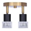 2 Light Track Lighting, Black Finish  |   Track Lighting Ceiling Lighting Matte Black And Gold