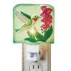 Hand-Painted Hummingbird Floral Night Light – 4 x 5.5 x 3.5  |   Night Lights Night Lights Night Lights