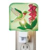 Hand-Painted Hummingbird Floral Night Light – 4 x 5.5 x 3.5  |   Night Lights Night Lights Night Lights