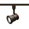 Lighting Summit H-Track 7″ Tall 3000K LED Track Head with Field  |   Track Lighting Ceiling Lighting Track Lighting