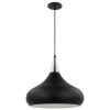 Phoenix 1 Light Large Pendant Matte Black with Polished Nickel  |   Kitchen Lighting Kitchen Lighting Kitchen Lighting