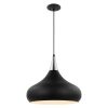 Phoenix 1 Light Large Pendant Matte Black with Polished Nickel  |   Kitchen Lighting Kitchen Lighting Kitchen Lighting