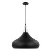 Phoenix 1 Light Large Pendant Matte Black with Polished Nickel  |   Kitchen Lighting Kitchen Lighting Kitchen Lighting