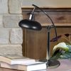 Springdale Lighting Pivot Desk Lamp, Polished Nickel Finish  |   Desk Lamps Desk Lamps Desk Lamps