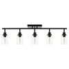 Black Track Lighting Ceiling with Clear Glass  |   Track Lighting Ceiling Lighting Track Lighting